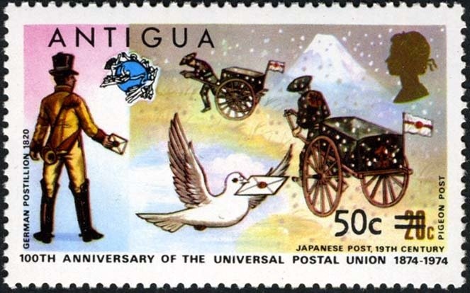 Cassia (Cassia fistula)