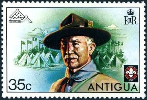 Bactrian camel (Camelus bactrianus)