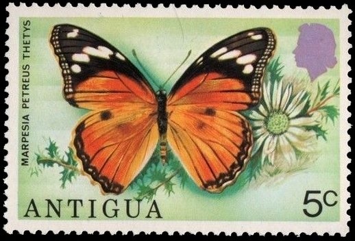 Type Alphee Dubois overprinted and surcharged