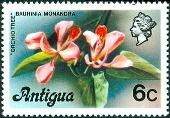 The Princess of Wales - Overprinted