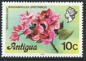 "The Nativity" (Gustave Dore)