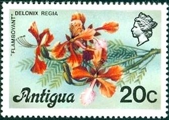 Barn Swallow and Painted Bunting