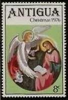 Green Sea Turtle (Chelonia mydas)