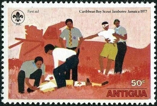 Ground Lizard (Anolis gingivinus)