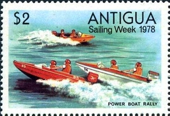 Geiger Tree (Cordia sebestena)