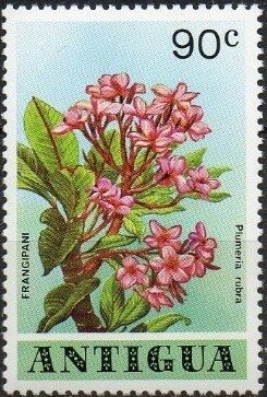 "Crucified Christ with the Virgin Mary and Saints" (detail)