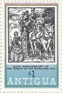 Paddy Straw Mushroom (Leucopaxillus gracillimus)