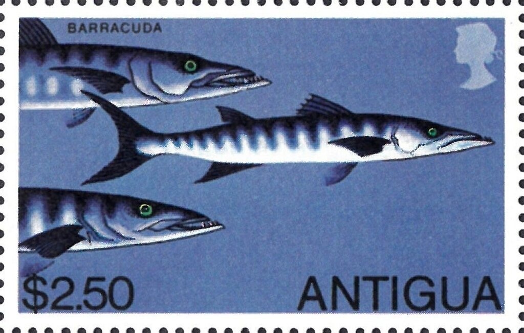 50th Anniversary of IAIAC