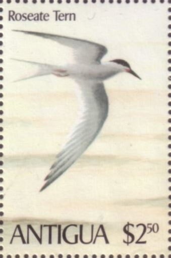 Queen Elizabeth The Queen Mother (pastel drawing)