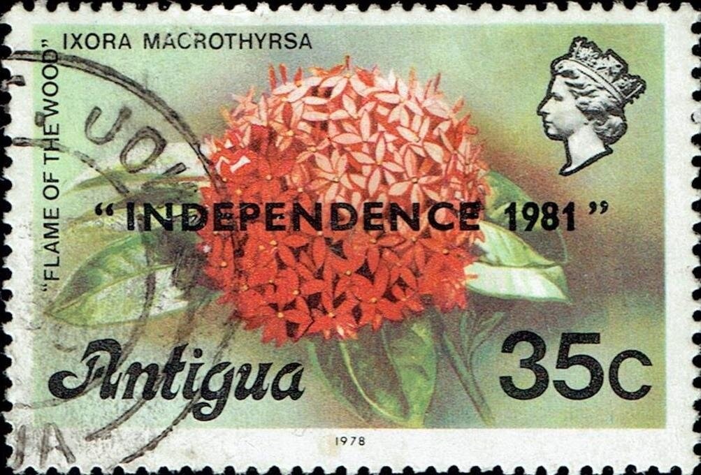 'Eagle' Ascending from Moon