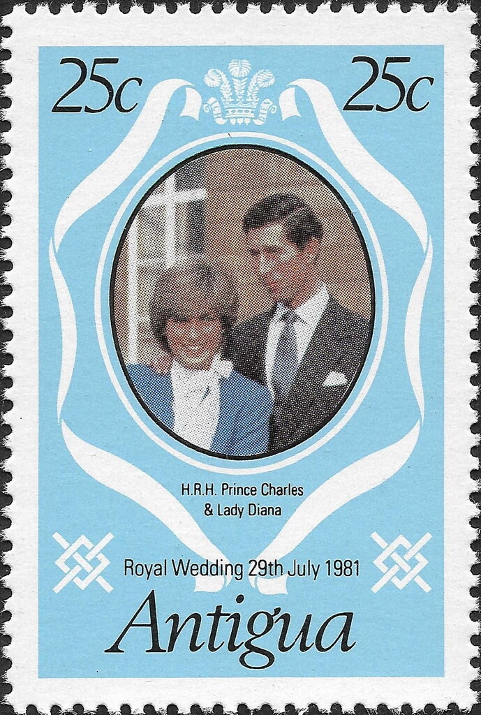 Orchid Tree (Bauhinia monandra)