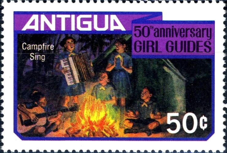 Grey Kingbird (Tyrannus dominicensis) - Overprinted