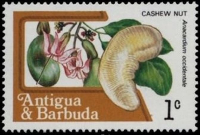 35th Anniversary of UNICEF