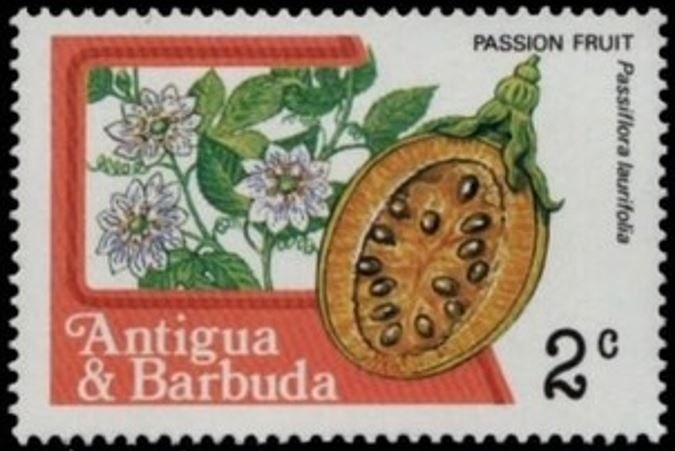 USS Triton (first submerged circumnavigation), 1960