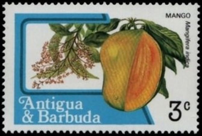 Seine Fishing - Overprinted