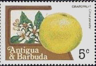 With Chancellor Adenauer, 1962