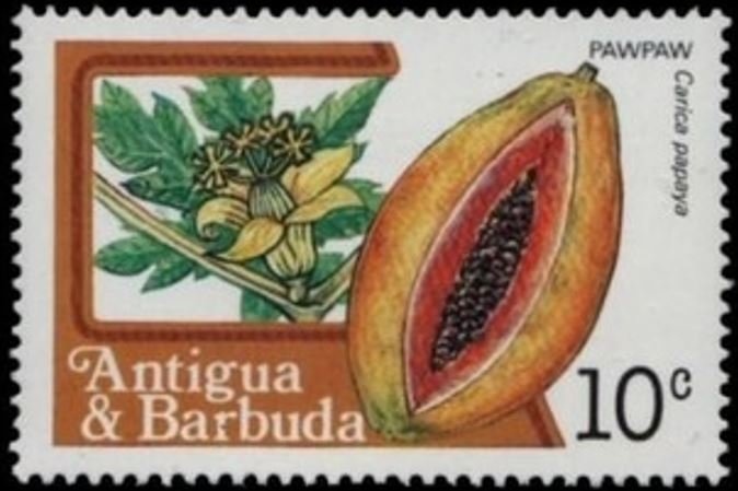 Arms of Antigua and University of West Indies