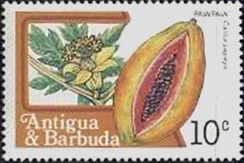 Bananaquit (Coereba flaveola) - Overprinted