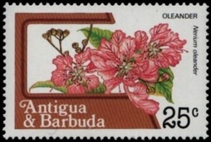 Donald's Nephews Reading Recruiting Poster for Pony Express