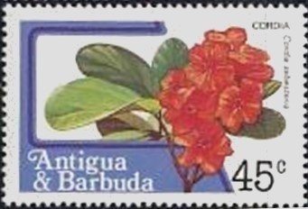 Prince Charles and Lady Diana Spencer