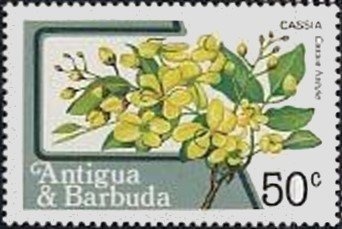 Type Groupe surcharge