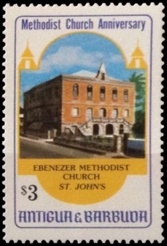 Yellow Crowned Night Heron (Nyctanassa violacea)