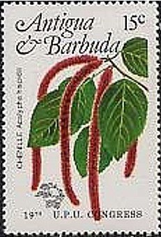 Greg Louganis, USA (diving gold medalist 1984, 1988)