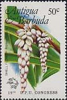 International Airport