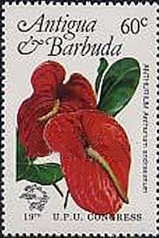 Type Groupe surcharge