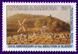 Spectacled Porpoise (Phocaena dioptrica)