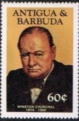 Brown Pelican (Pelecanus occidentalis) - Overprinted