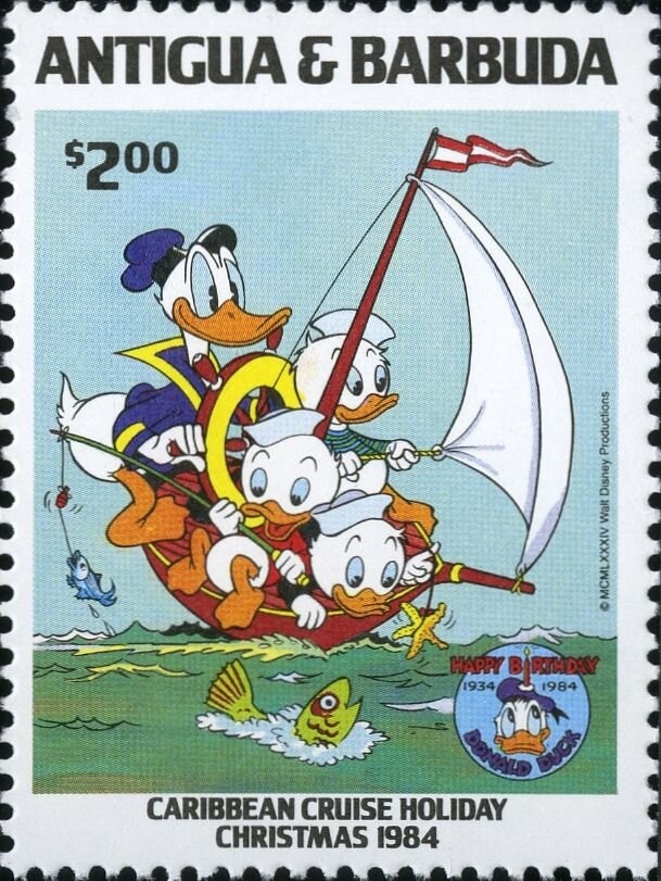 Heads of Blue-winged Teals (Anas discors)