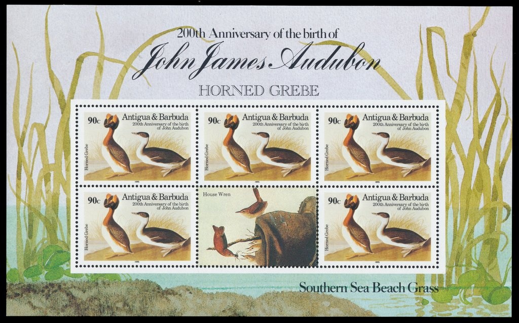 Present School Building, 1950