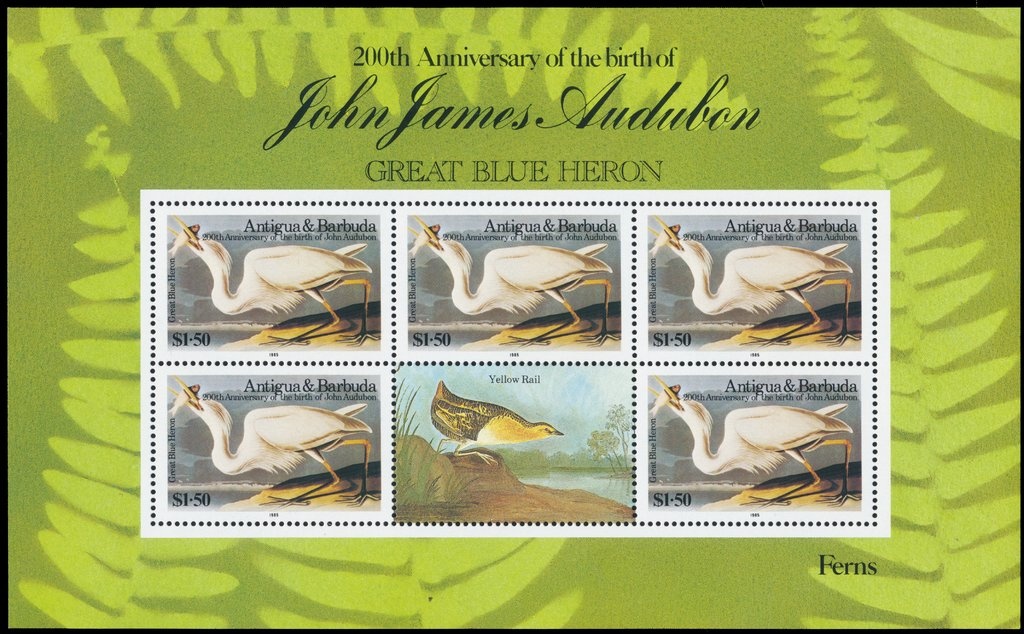 Prince Charles, Lady Diana Spencer and St. Paul's Cathedral