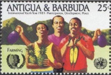 Orchid Tree (Bauhinia monandra)