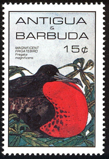 At Trooping the Colour