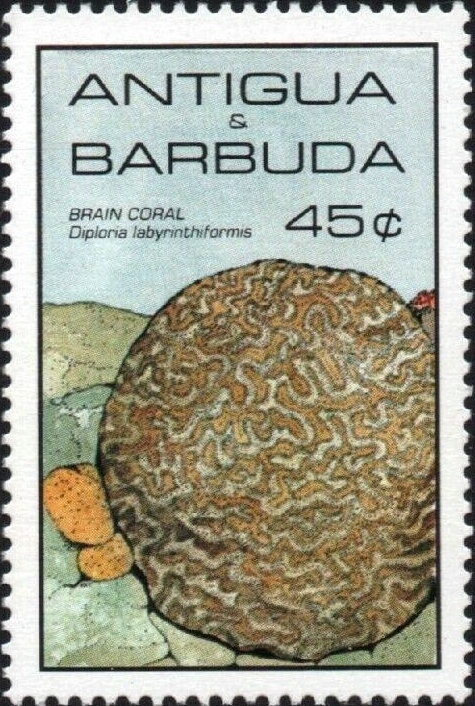 "Sibyls and Angels" (detail)