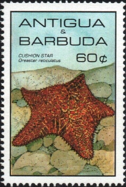 "Christ Crowned with Thorns" (detail) (Hieronymous Bosch)