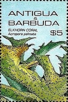 Operation Torch Landings, 1942