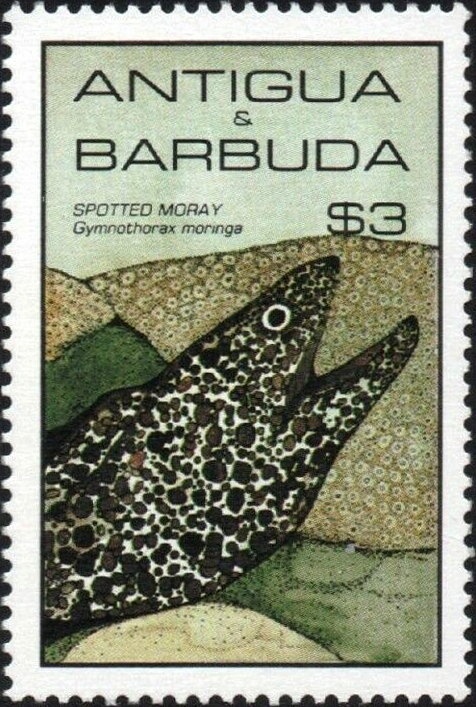 Type Groupe surcharge