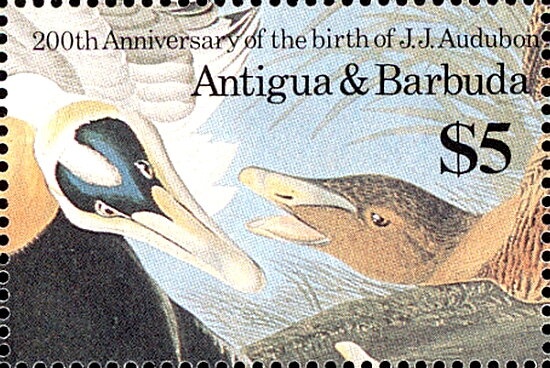 Princess wearing Yellow Blouse