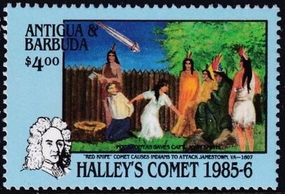 Green-winged Teal (Anas crecca)