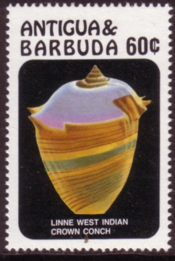 Atomic Bomb Mushroom Cloud