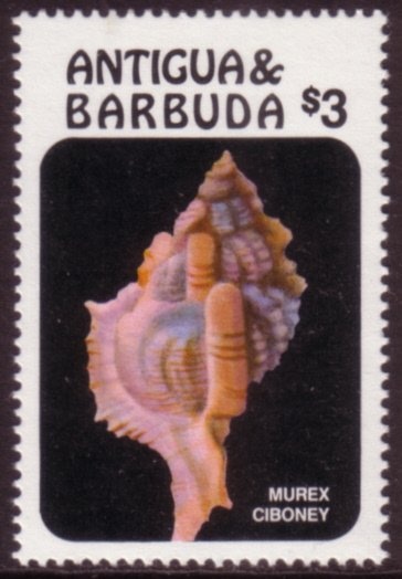 With Movie Camera and Megaphone