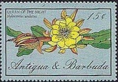 Dag Hammarskjold, Peace, 1961