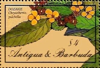 "Crested Blackbird and Flowering Cherry"