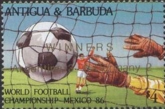 Banded Butterflyfish (Chaetodon striatus)