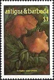 August - Pooh and Piglet by Stream
