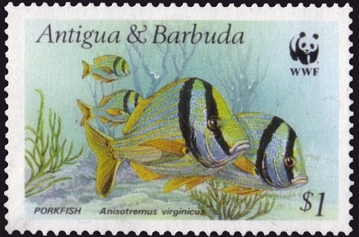 Santa baking in Traditional Rock Oven