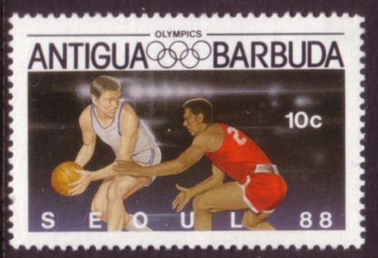 Hibiscus (Hibiscus rosa-sinensis)